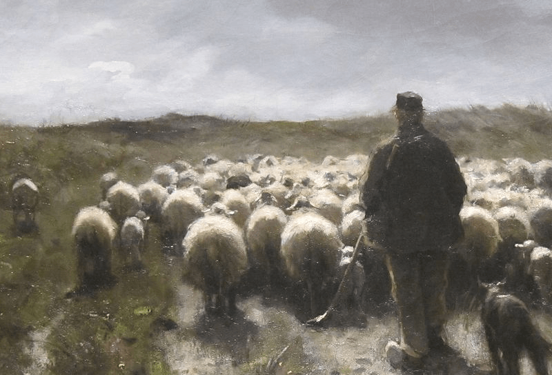 Schaapsherder met verstand